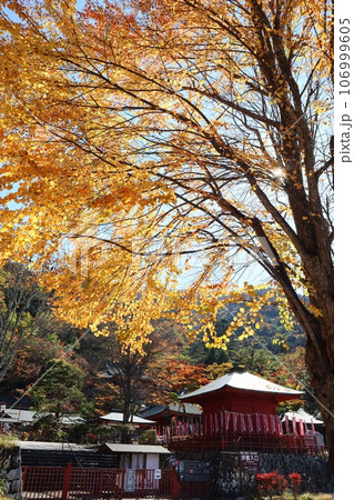 日光二荒山神社と紅葉 日光二荒山神社と紅葉 106999605