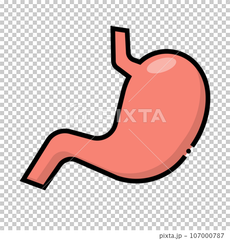 胃 107000787