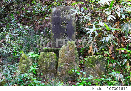 毛呂山町の森林の岩壁に囲まれた獅子ヶ滝の入り口の獅子ヶ滝の石碑と苔むす道祖神の風景 毛呂山町の森林の岩壁に囲まれた獅子ヶ滝の入り口の獅子ヶ滝の石碑と苔むす道祖神の風景 107001613