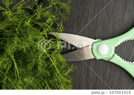 kitchen scissors cutting dill in the kitchen on a cutting board kitchen scissors cutting dill in the kitchen on a cutting board 107001919