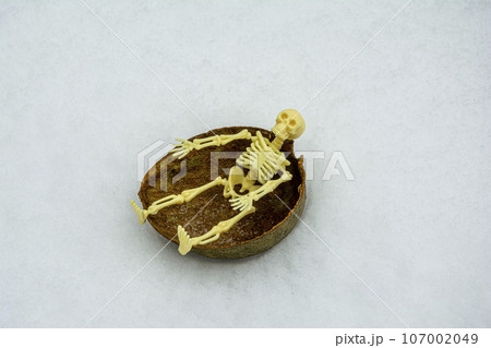 skeleton rides on the hemisphere as on a sled in the snow 107002049