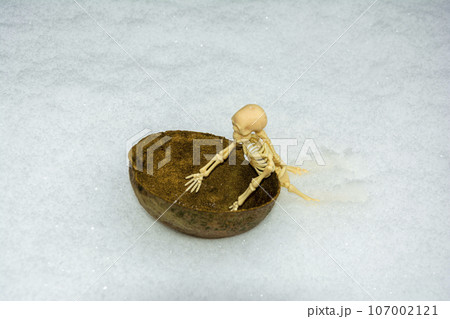 skeleton rides on the hemisphere as on a sled in the snow 107002121