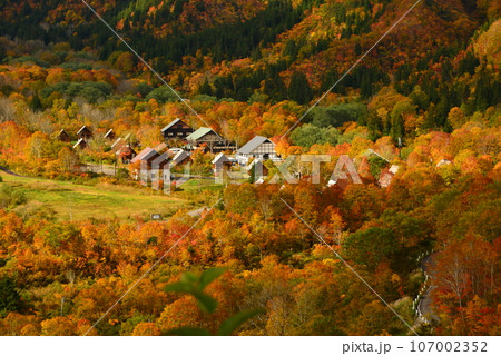 紅葉の名所「奥只見、銀山平」の燃える秋 107002352