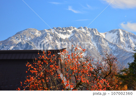 初雪で雪化粧する越後三山の霊峰「八海山」 107002360