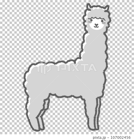 蓬鬆的羊駝（全身）黑白插圖 107002456