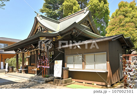 川口散歩：鳩ヶ谷氷川神社　拝殿　川口市鳩ケ谷本町 107002501
