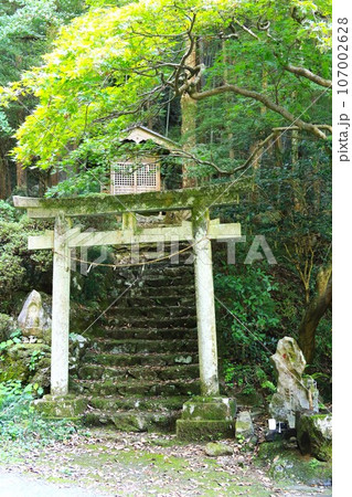 毛呂山町の獅子ヶ滝近くの村の鎮守様八坂神社の風景 107002628