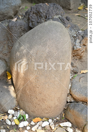 川口散歩:鳩ヶ谷氷川神社 力石 川口市鳩ケ谷本町 川口散歩:鳩ヶ谷氷川神社 力石 川口市鳩ケ谷本町 107002739