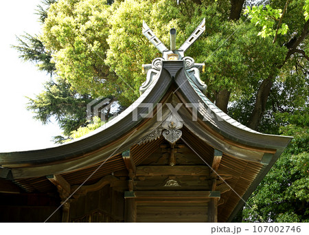 川口散歩：鳩ヶ谷氷川神社　本殿　社殿　　川口市鳩ケ谷本町 107002746