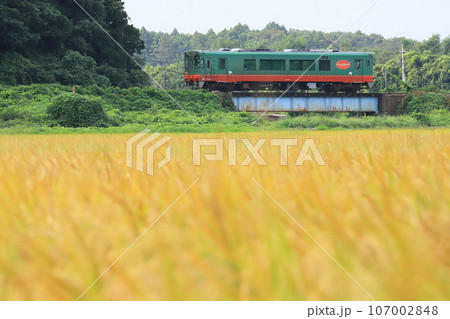 真岡鐵道「秋の田園風景を走るローカル線」 107002848