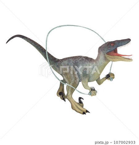 Velociraptor with a skipping rope. Dinosaur...のイラスト素材 [107002933] - PIXTA