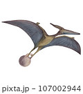 Pterodactyl with a kettlebell. Dinosaur athlete. Watercolor illustration isolated on a white background. Hand drawn 107002944