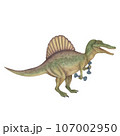 Spinosaurus with dumbbells. Dinosaur athlete. Watercolor illustration isolated on a white background. Hand drawn 107002950