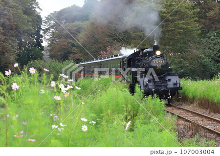 真岡鐵道「初秋の芳賀路を行くSLもおか号」 真岡鐵道「初秋の芳賀路を行くSLもおか号」 107003004
