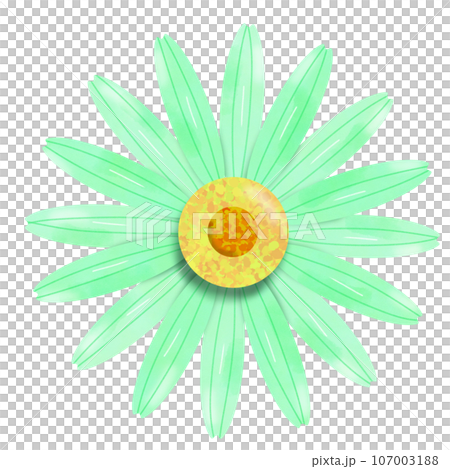 flower isolated on white background flower isolated on white background 107003188