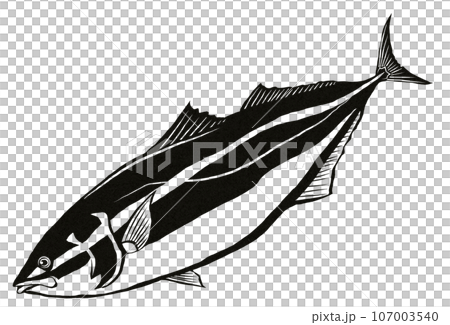 黃尾魚黑白插圖 107003540
