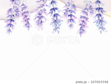 Template with watercolor lavender. Birthday or Wedding cards. Vector design element, wreaths of lavender. Template with watercolor lavender. Birthday or Wedding cards. Vector design element, wreaths of lavender. 107003598