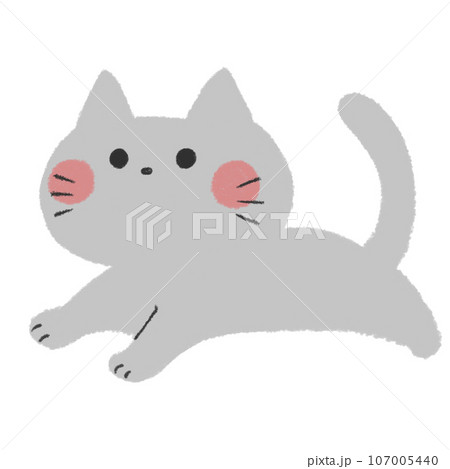 走っているかわいい赤いほっぺの灰色の猫 107005440
