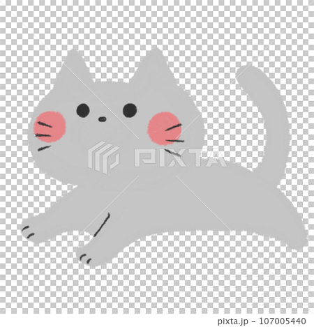 走っているかわいい赤いほっぺの灰色の猫 107005440