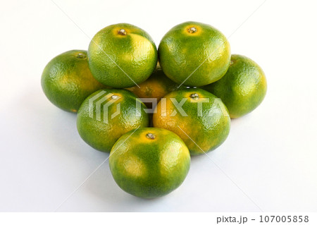 みかん（日南一号） 107005858