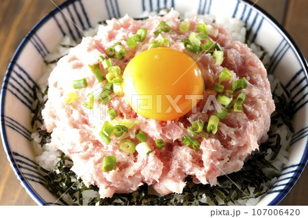 刻み海苔と卵黄とネギトロの丼ぶりを俯瞰撮影 刻み海苔と卵黄とネギトロの丼ぶりを俯瞰撮影 107006420