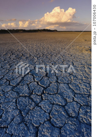 Broken dry soil in a Pampas lagoon, La Pampa province, Patagonia, Argentina. Broken dry soil in a Pampas lagoon, La Pampa province, Patagonia, Argentina. 107006430