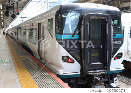 東京駅に停車中の「JR東日本E257系電車」 東京駅に停車中の「JR東日本E257系電車」 107006754