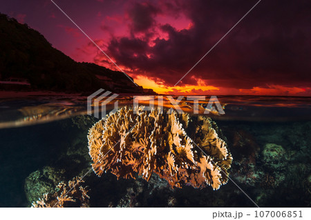 Tropical seascape with coral underwater and colorful bright sunset or sunrise on the seashore, split view over-under water surface in French Polynesia, Pacific ocean, Oceania 107006851