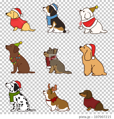 横を向いてお座りするクリスマス仕様の可愛い犬のイラストセット 主線あり 横を向いてお座りするクリスマス仕様の可愛い犬のイラストセット 主線あり 107007215