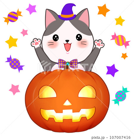 ハロウィン　カボチャから飛び出すハチワレ猫 107007416