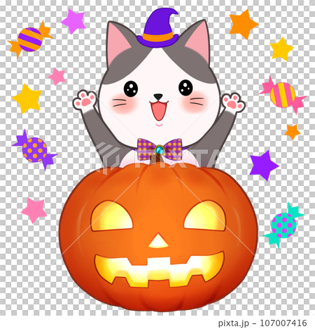 ハレハレ猫(白猫)＋猫かぼちゃランタン(オレンジ) ハロウィンセット ハレハレ猫(白猫)＋猫かぼちゃランタン(オレンジ) ハロウィン