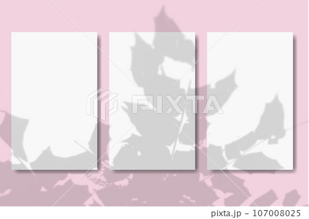 Natural light casts shadows from the plant on 3 vertical rectangles sheets of white paper lying on a pink textured background. Mockup 107008025