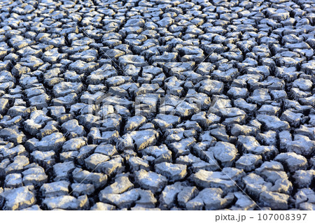 Broken dry soil in a Pampas lagoon, La Pampa province, Patagonia, Argentina. Broken dry soil in a Pampas lagoon, La Pampa province, Patagonia, Argentina. 107008397