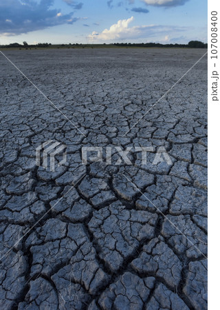 Broken dry soil in a Pampas lagoon, La Pampa province, Patagonia, Argentina. 107008400