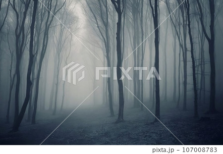 Old pine forest, misty day, in the style of romanticism vintage photo. Dull misty day hills landscape 107008783
