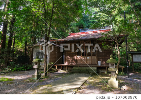 栃木県宇都宮市 塙田八幡宮 107008970