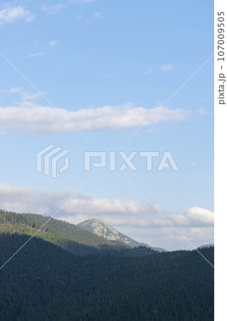 Mountain landscape with forest in the Carpathian mountains of Ukraine. 107009505