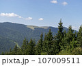 Mountain landscape with forest in the Carpathian mountains of Ukraine. 107009511