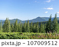 Mountain landscape with forest in the Carpathian mountains of Ukraine. 107009512