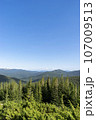 Mountain landscape with forest in the Carpathian mountains of Ukraine. 107009513