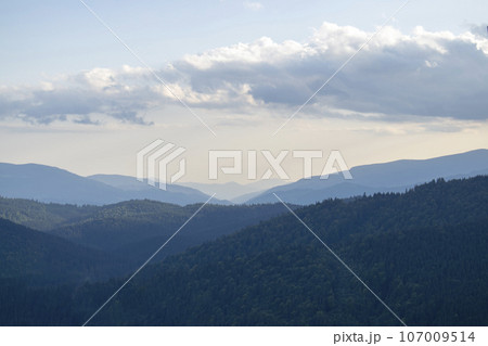 Mountain landscape with forest in the Carpathian mountains of Ukraine. 107009514