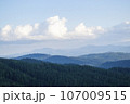 Mountain landscape with forest in the Carpathian mountains of Ukraine. 107009515