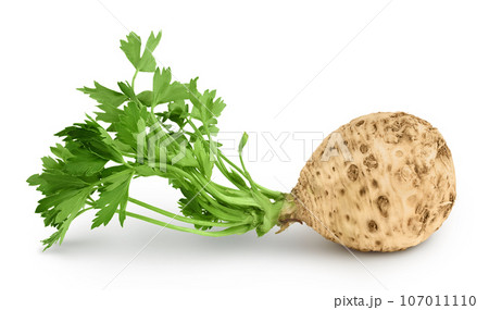 Fresh celery root with leaf isolated on white background Fresh celery root with leaf isolated on white background 107011110