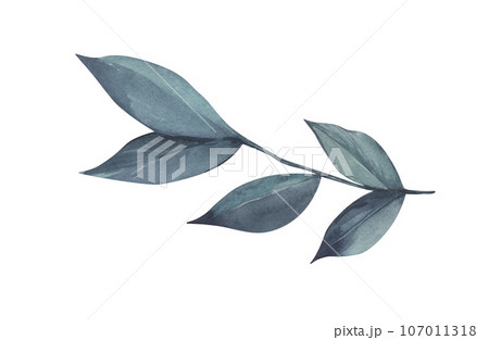 Watercolor floral of blue leaves, branches, twigs. Hand-drawn illustration isolated on white background. Creative object for wedding, celebration, card, shop, sticker, wallpaper, wrapping, textile Watercolor floral of blue leaves, branches, twigs. Hand-drawn illustration isolated on white background. Creative object for wedding, celebration, card, shop, sticker, wallpaper, wrapping, textile 107011318
