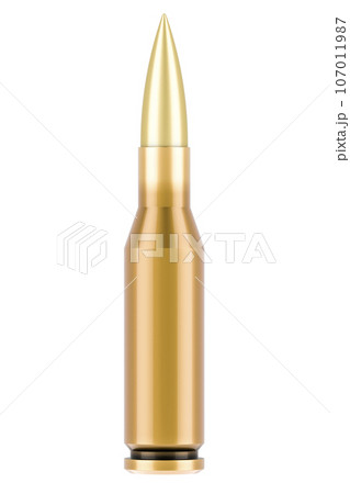 Single Rifle Bullet, 3D rendering 107011987