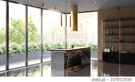 modern dark kitchen interior. 107012030