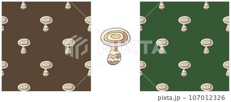 Illustration in hand draw style. Set Seamless pattern and print. Can be used for fabric, packaging, wrapping paper and etc 107012326