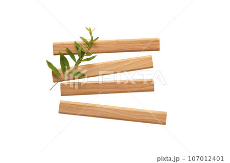 the green sprig of plant lies on the wooden planks. blank for design the green sprig of plant lies on the wooden planks. blank for design 107012401