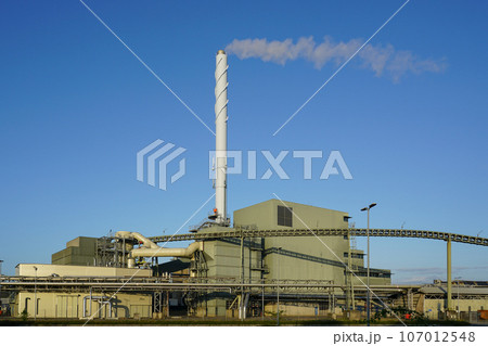 External view of large modern biomass cogeneration wood chip power plant with tall steam chimney External view of large modern biomass cogeneration wood chip power plant with tall steam chimney 107012548