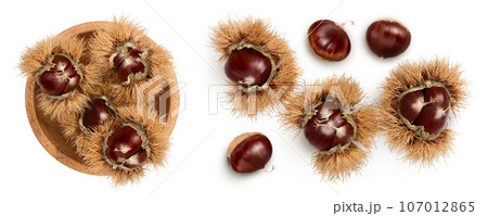 opened sweet chestnut in wooden bowl isolated on white. Top view. Flat lay opened sweet chestnut in wooden bowl isolated on white. Top view. Flat lay 107012865